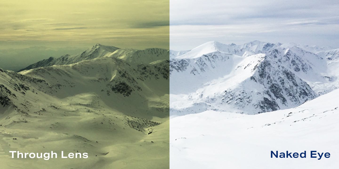 Rose Bros Low Light | Nebula Lens